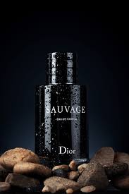 Dior - SAUVAGE IMPRESSION Perfume and long lasting perfume and good fragrance and best for men and best for gift - 100ml